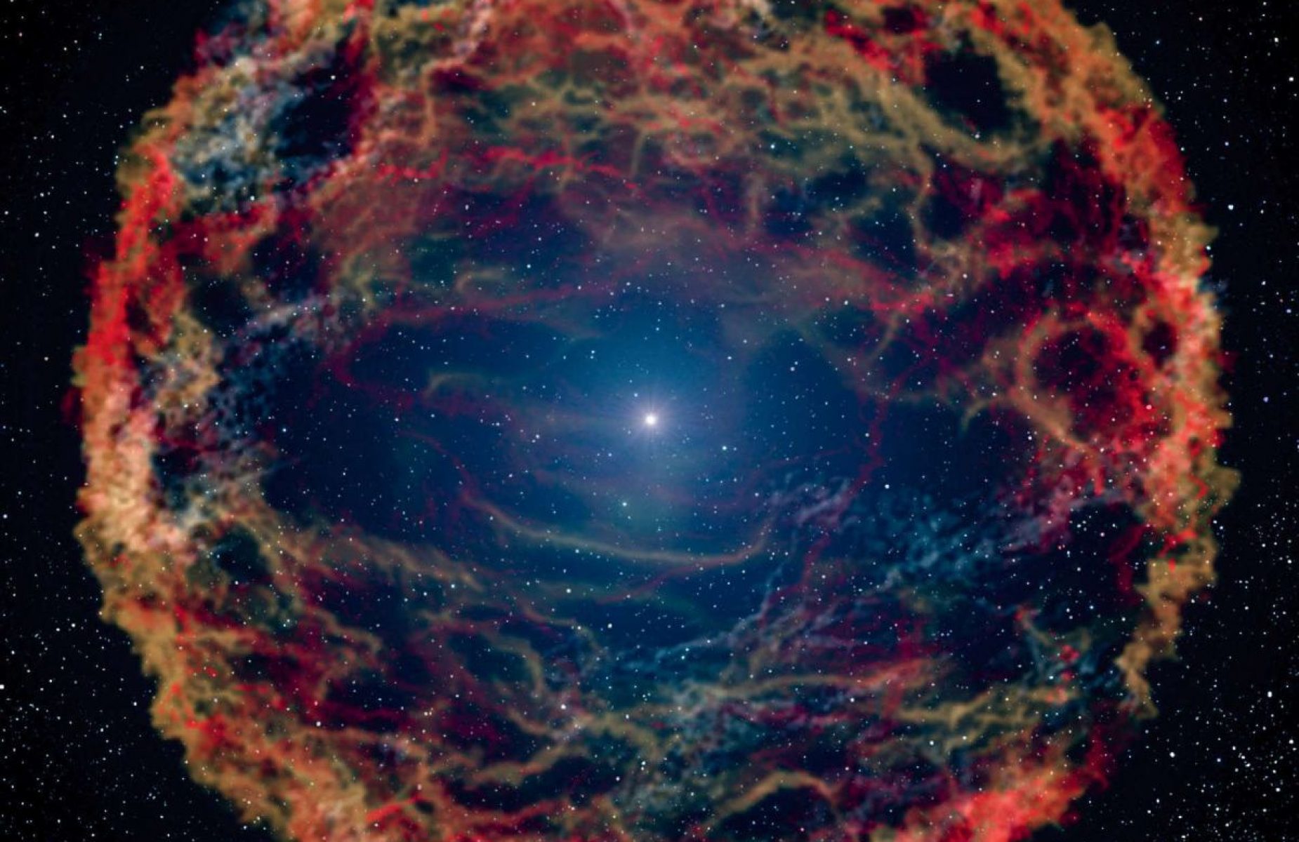 cover-r4x3w1200-65688e91473b0-2646-139696-k2-k1-335982-jpg